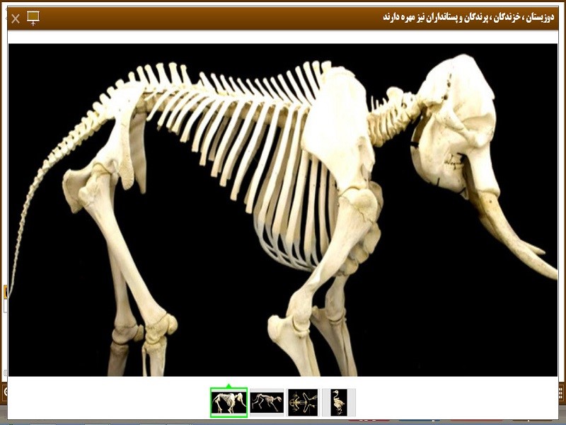 ویرابوک پایه سوم نرم افزار DVD نسخه ویندوز(ویژه آموزگار)