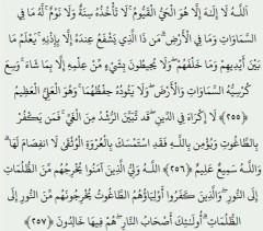 نیم بوت کوهستان جکس JAX چهار رنگ طوسی و مشکی و عسلی و زیتونی